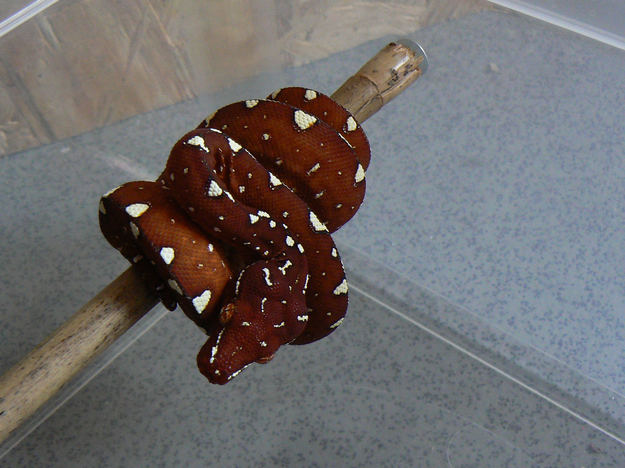 P1050049.JPG